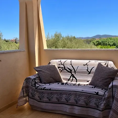 Airport * Ольбія